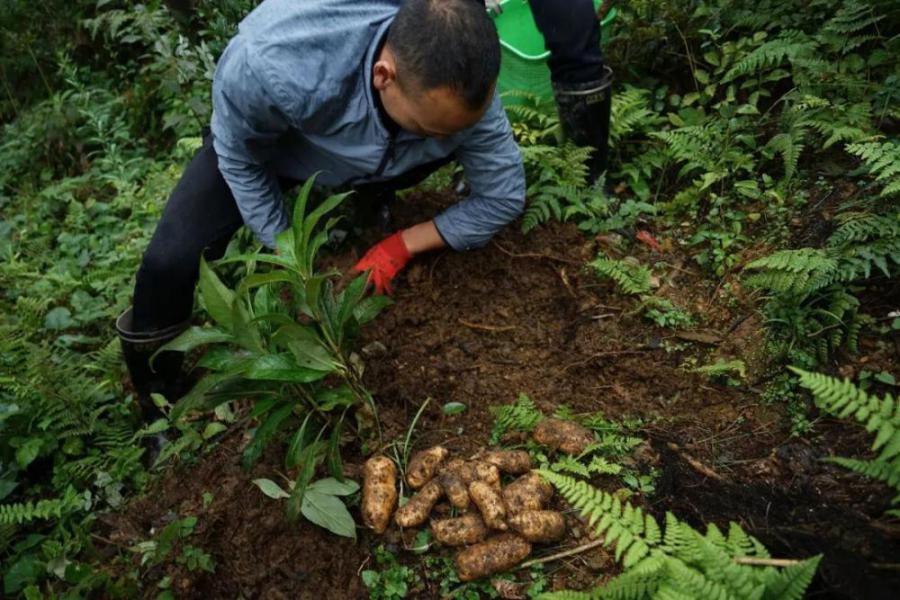 唐朝暉丨這里的水飄在空中，風把霧從水里吹出來